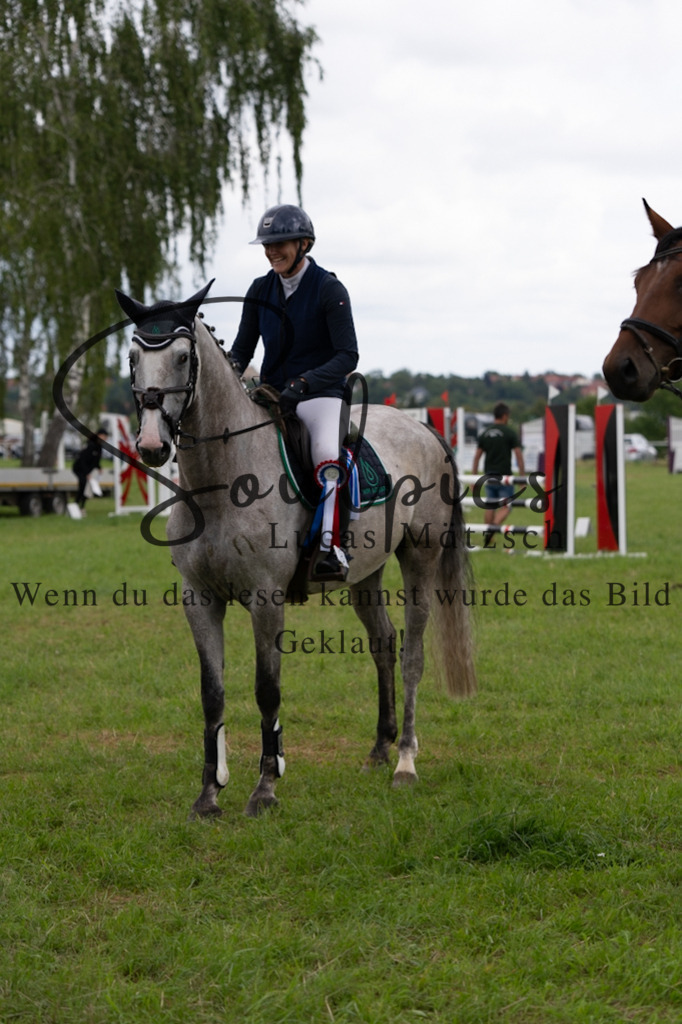 A7V04045 | Pferdefotograf