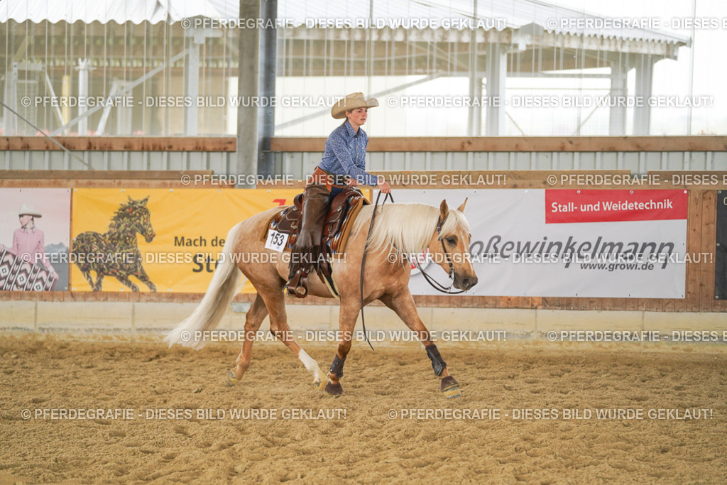 DSC05876 | Pferdegrafie