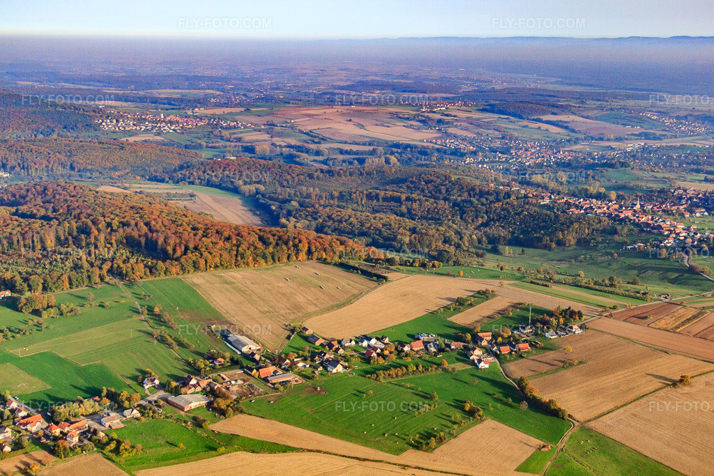 Aerial view: Rue des Vosges in Reichshoffen in the state Bas-Rhin, France. – Photo: IMG_54133.jpg taken on 10/21/2012 by Werner Riehm/FLY-FOTO.com – Resolution of the original: 4752 x 3168 px