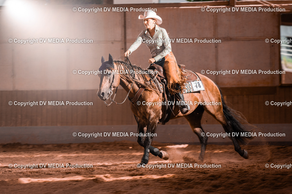 NE100839 | dv-media-shop - Realisiert mit Pictrs.com