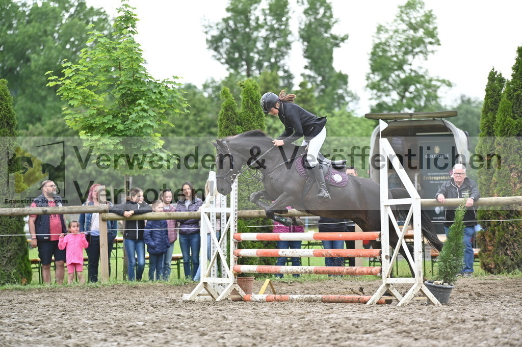 DSC_0519 | equestrian-live-com
