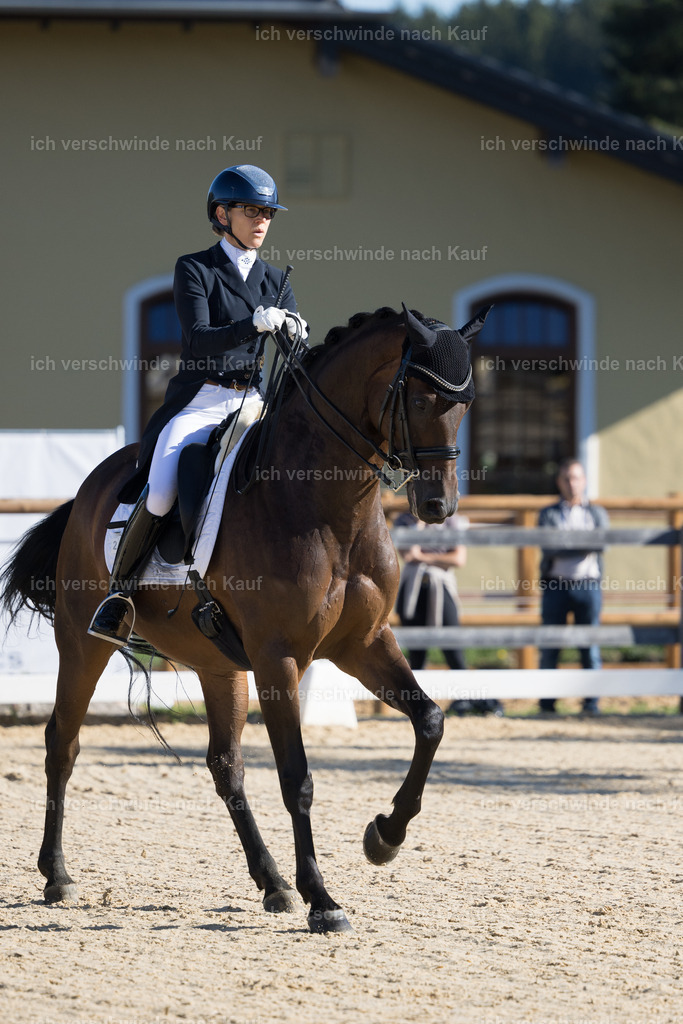 FHC2026_P07_238_17208 | working equitationturnier fotograf videograf stoibphotography marixx film working equitation deutschland reitsport turnierfotografie eventfotografie equestrian events