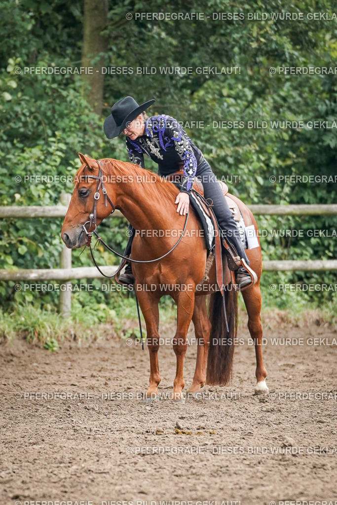 DSC02070 | Pferdegrafie