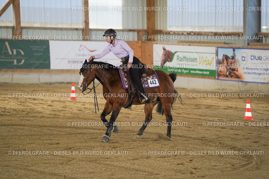 DSC01231 | Pferdegrafie