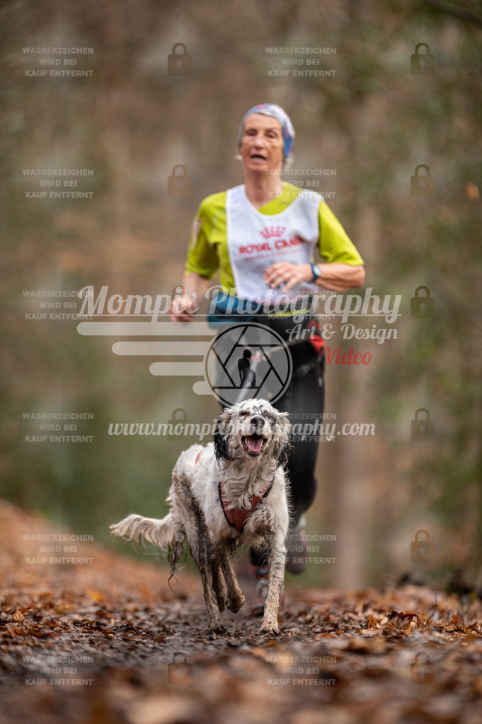 SPA_2023_DIM_CCL-120 | PayLife