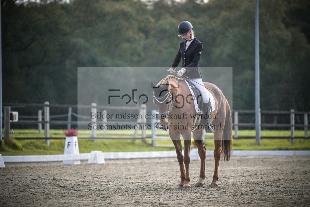 DOS_B102 | Entdecke hochwertige Reitturnierfotos von Foto Oger. Professionell, emotional und authentisch – jetzt Lieblingsmomente im Shop bestellen.Deutschlandweite Turnierfotografie. - Realisiert mit Pictrs.com