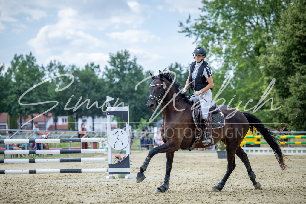 20260704-_3LI1667 | Tierfotografie Pferde, Hunde, Katzen, Haustiere.
Turnierfotografie Reitturniere, Reiten, Springreiten, Dressur in Hanau, dem Main-Kinzig-Kreis und dem Rhein-Main- Gebiet um Frankfurt