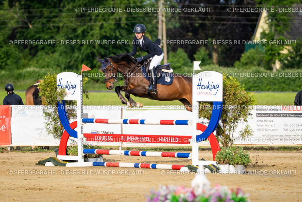 DSC02578 | Pferdegrafie