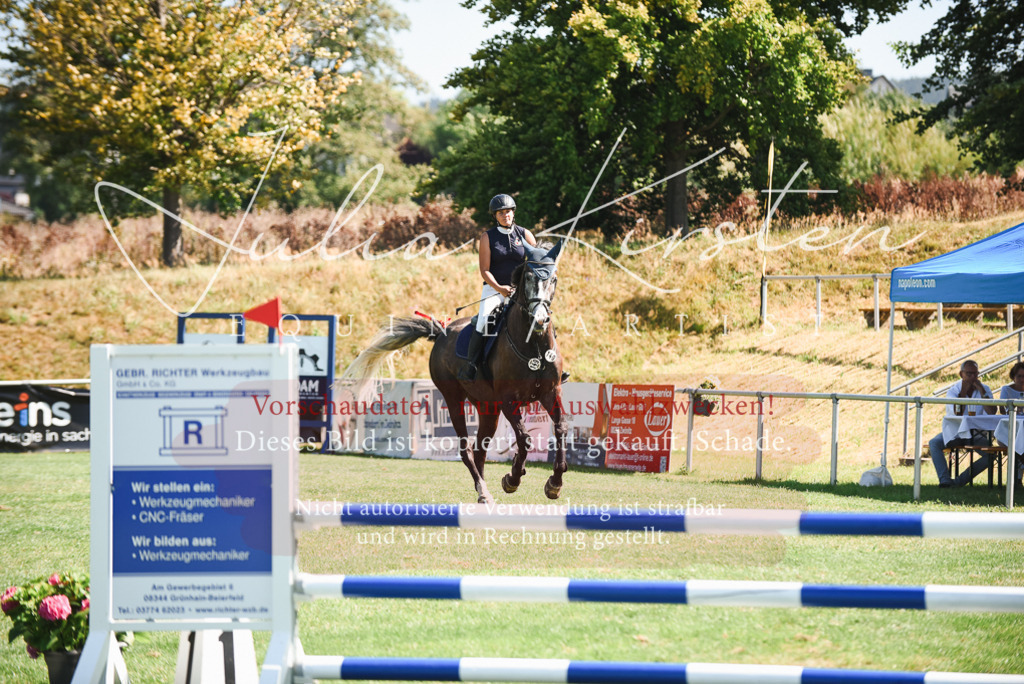 DSC_2875 | Pferde- und Turnierfotografie in Westsachsen. Pferdeportraits, Auftragszeichnungen und intuitive Kunst.