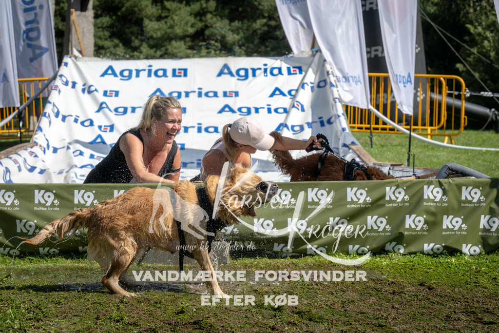 1149_ZZ94208 | kk-dogfotos