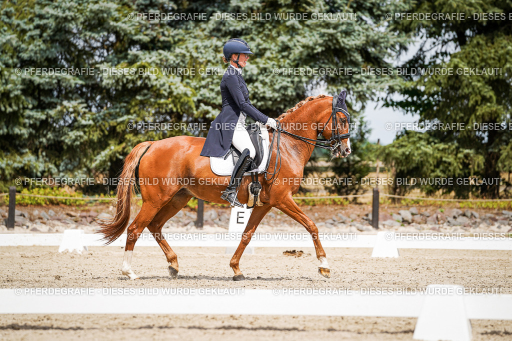 DSC06152 | Pferdegrafie