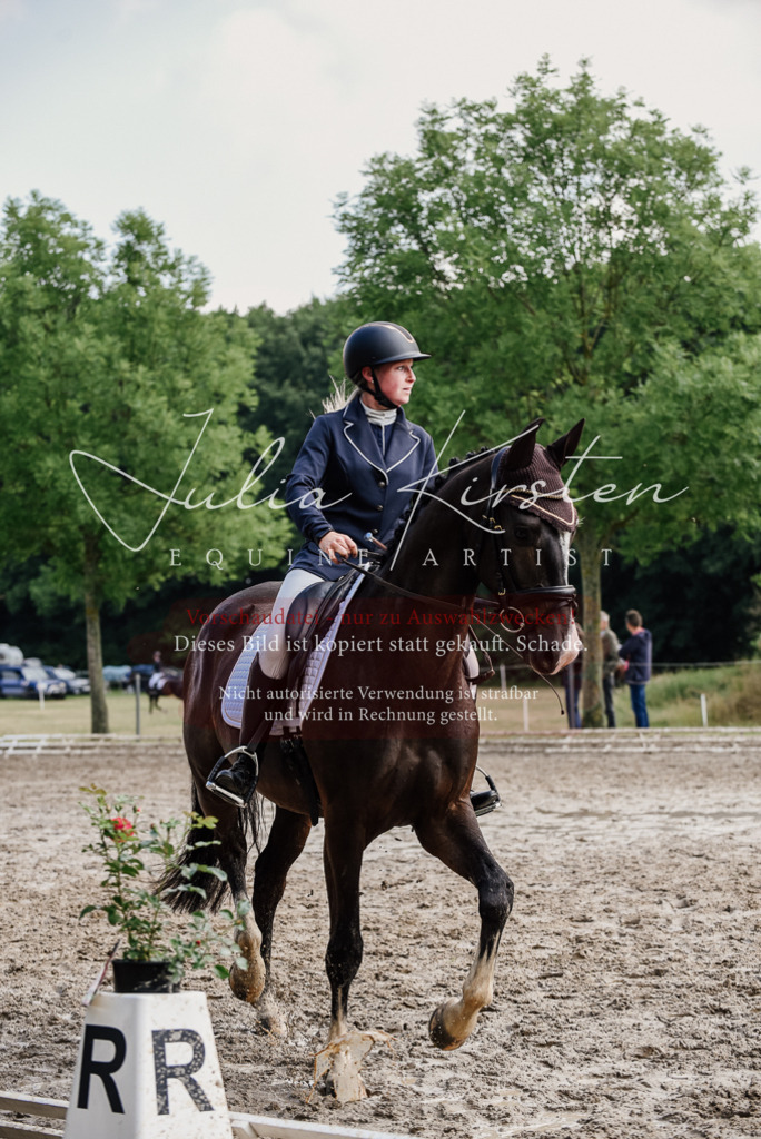 DSC_0103 | Pferde- und Turnierfotografie in Westsachsen. Pferdeportraits, Auftragszeichnungen und intuitive Kunst.