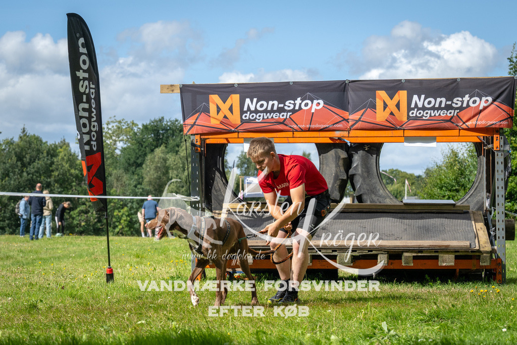 1533_ZZ93161 | kk-dogfotos