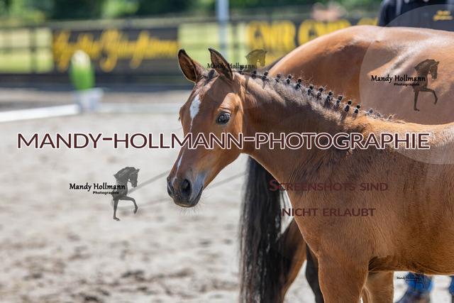 0P2A6798-2 | mandyhollmannphotographie