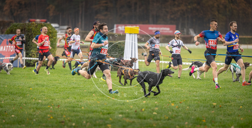 CaniXpix_DV3A9481 | Hundefotografie, Tierfotograf, Pfotenfotografie, Fotoshooting Hund, Hunde Portrait, Hundesport, Hundeportraits, Heideshooting, Hunde, Sportfotograf, Hundefotograf, Turnierhundsport, THS,  - Realisiert mit Pictrs.com