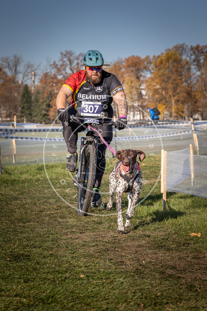 CaniXpix_0L8A5580 | Hundefotografie, Tierfotograf, Pfotenfotografie, Fotoshooting Hund, Hunde Portrait, Hundesport, Hundeportraits, Heideshooting, Hunde, Sportfotograf, Hundefotograf, Turnierhundsport, THS,  - Realisiert mit Pictrs.com