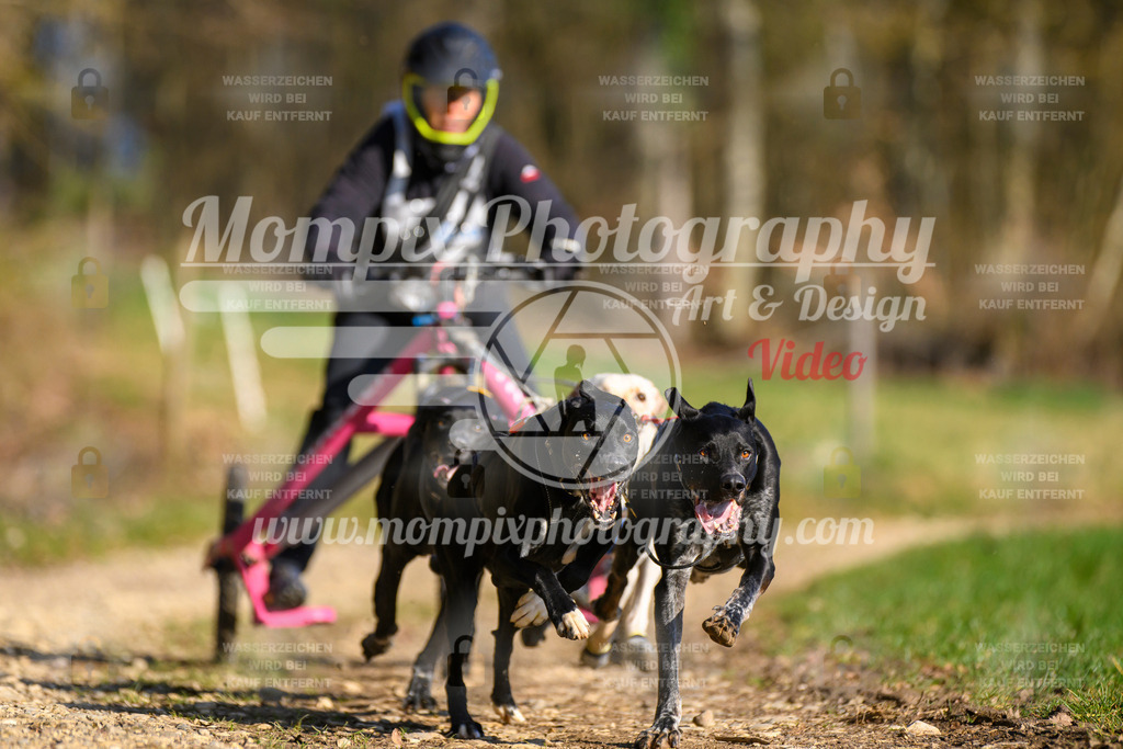 MompixPhotography_ReiatRennen2024_Nome-11 | PayLife