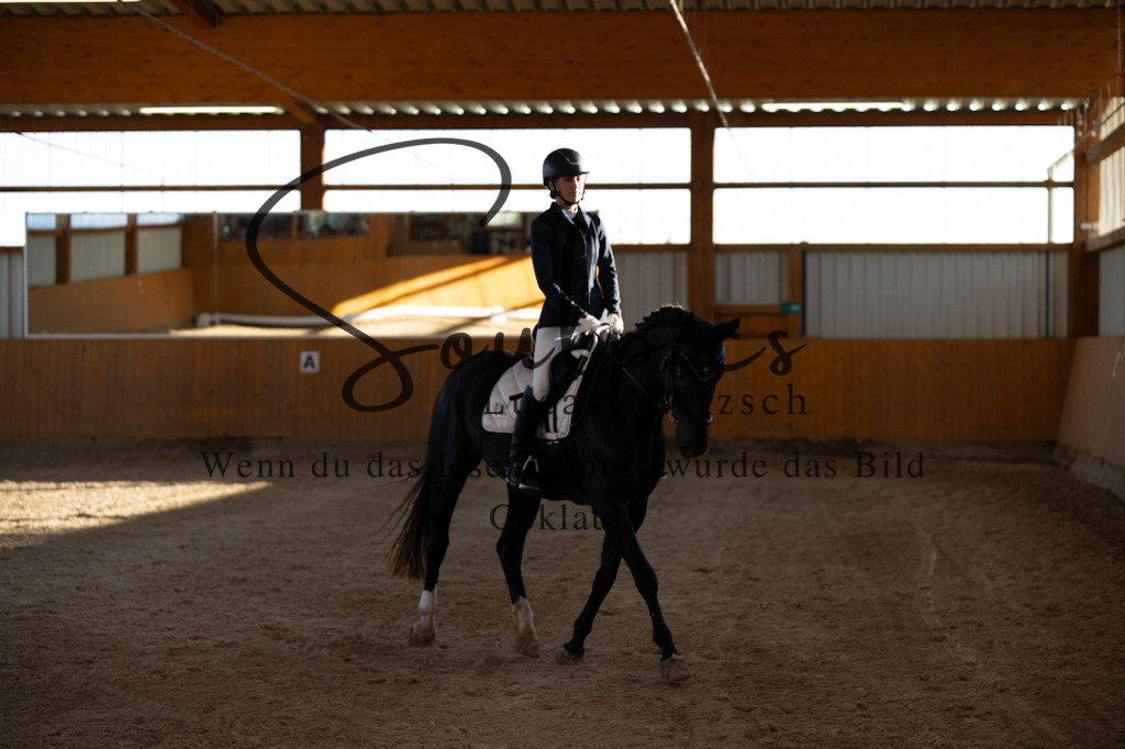 A7V01616 | Turnier/Reitfotograf