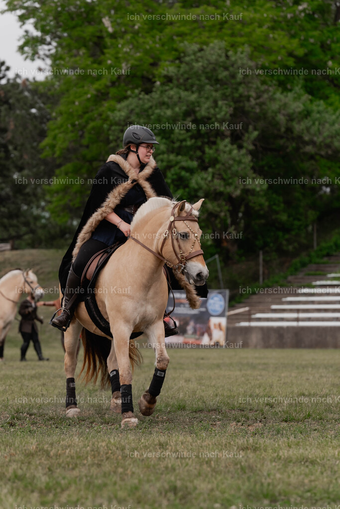 Showprogramm-340 | working equitationturnier fotograf videograf stoibphotography marixx film working equitation deutschland reitsport turnierfotografie eventfotografie equestrian events