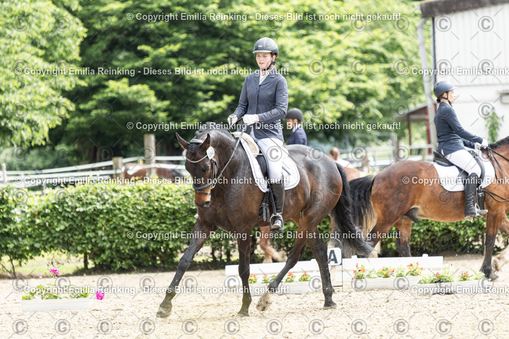 CL5A7656 | Emilia Reinking Fotografie - Realisiert mit Pictrs.com