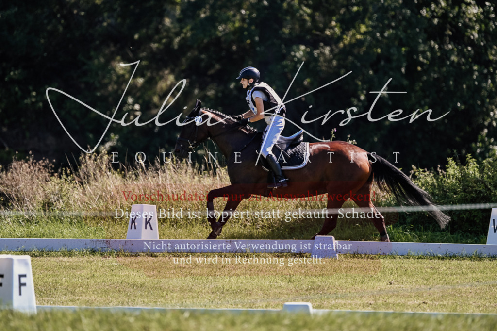 DSC_1725 | Pferde- und Turnierfotografie in Westsachsen. Pferdeportraits, Auftragszeichnungen und intuitive Kunst.