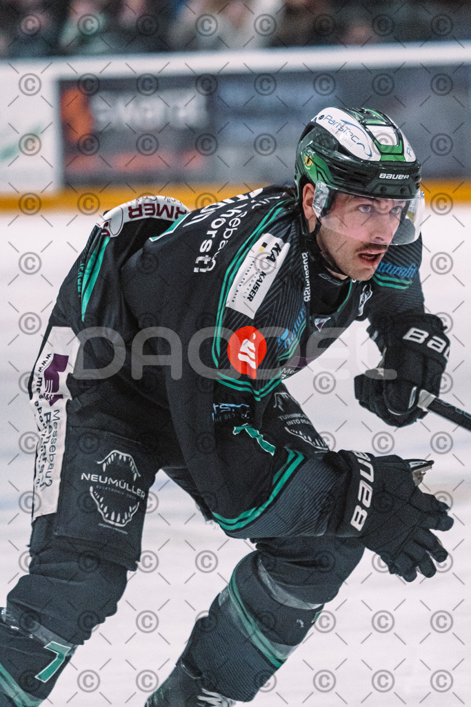 Alligators_vs_Selb_27_02_2026-11 | Höchstadt Alligators Fotogalerie: Eishockey-Action aus Franken. Professionelle Spielfotos, Portraits & Stadionbilder zum Download. Jetzt entdecken! - Realisiert mit Pictrs.com
