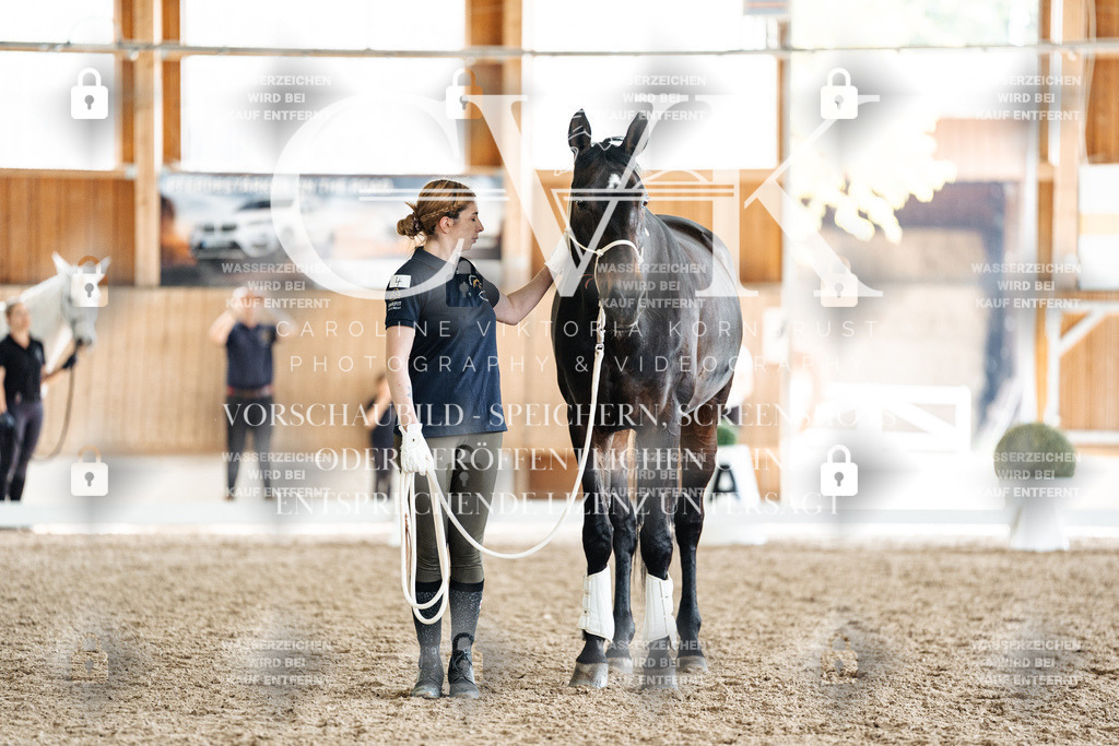 CK908118 | Turnierfotografie Pferdefotografie Trier Rheinland-Pfalz Pferdesport Reitsport Tierfotografie Sportfotografie Pferdevideo Pferdevideografie Equestrianvideography equestrianphotography  - Realisiert mit Pictrs.com