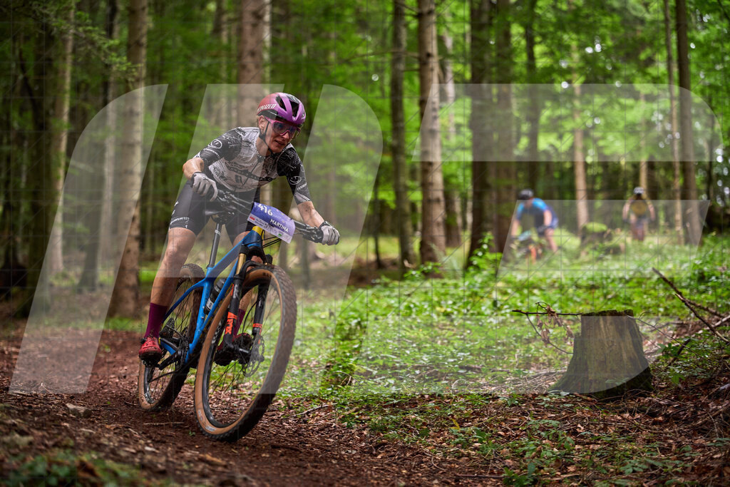 Betriebszentrum Laubenbachmühle, Frankenfels, Österreich - 13. September 2025: Dirndltal Race - Fun und Trophy RaceFotograf: Martin Bihounek / martinbihounek.com | 13. September 2025 Betriebszentrum Laubenbachmühle, Frankenfels, Österreich : Dirndltal Race - Fun und Trophy Race •••••Photo by: Martin Bihounek / martinbihounek.comInsta: @martinbihounekcom