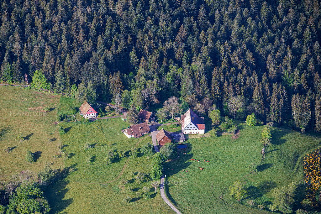 Luftbild: Hinterholz-Stube im Ortsteil Ober-Staigenbach in Schiltach im Bundesland Baden-Württemberg in Deutschland.Foto: IMG_156481.jpg vom 17.05.2026 durch Werner Riehm/FLY-FOTO.deAuflösung des Originals: 5804 x 3869 pxHINTERHOLZSTUBE – regional  –  frisch  –  genießen