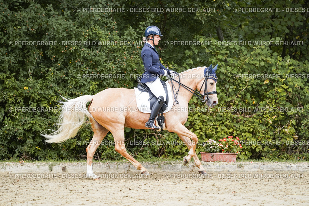 DSC04865 | Pferdegrafie