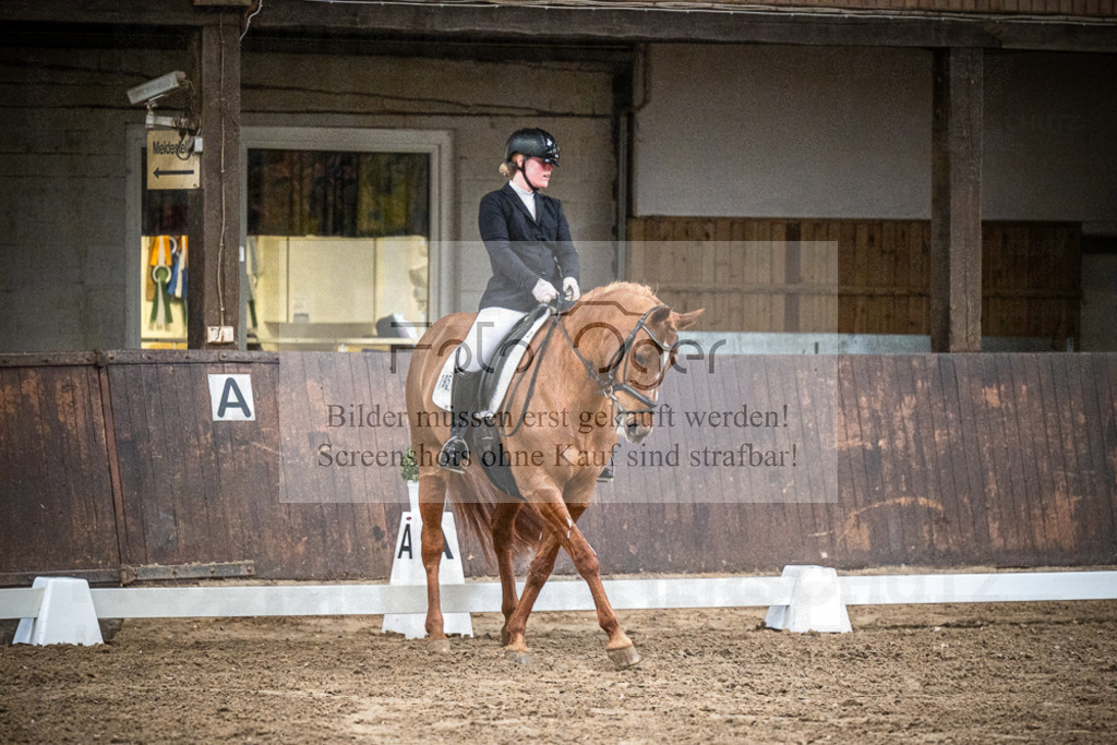 DOS_0601 | Entdecke hochwertige Reitturnierfotos von Foto Oger. Professionell, emotional und authentisch – jetzt Lieblingsmomente im Shop bestellen.Deutschlandweite Turnierfotografie. - Realisiert mit Pictrs.com