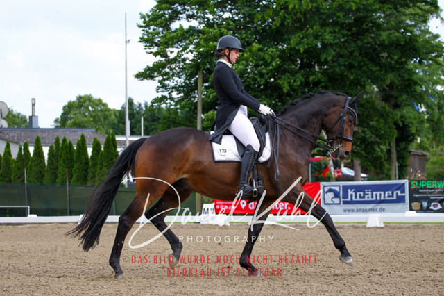 DKP41648 | Deine Turnierfotos vom Reitturnier online kaufen: Dressur, Springen & Siegerehrung. Professionelle Pferdefotografie aus dem Rheinland – als Download & Print.Alternative: Turnierfotograf für den Pferdesport: Finde deine Fotos von Dressur- und Springturnier