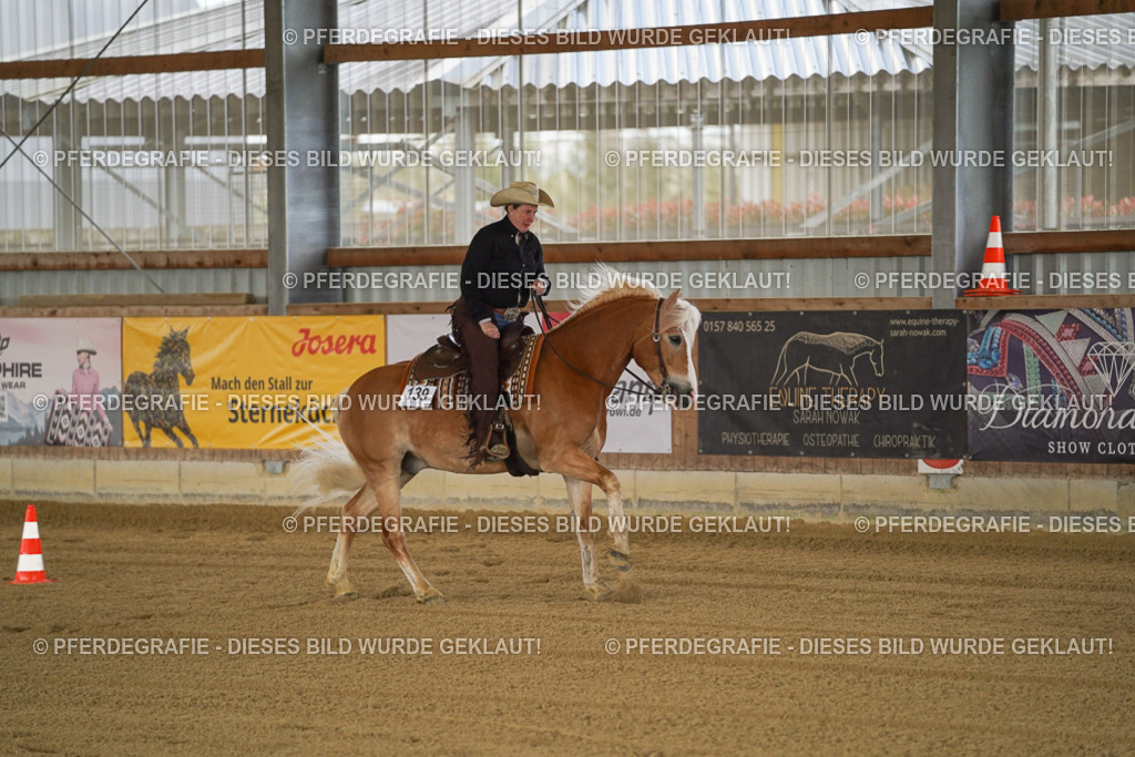 DSC09600 | Pferdegrafie