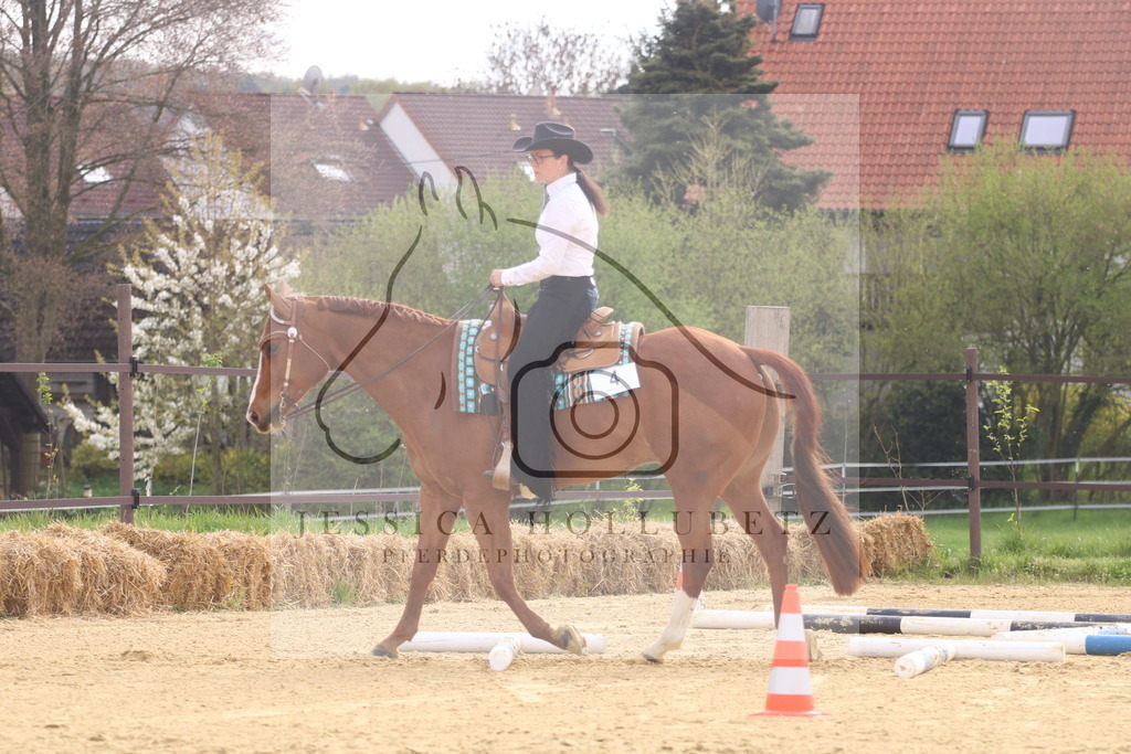 IMG_8141 | jessicahollubetz_pferdephotographie - Realisiert mit Pictrs.com