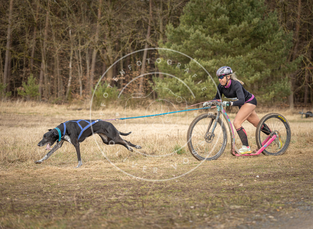 DV3A4672 | Hundefotografie, Tierfotograf, Pfotenfotografie, Fotoshooting Hund, Hunde Portrait, Hundesport, Hundeportraits, Heideshooting, Hunde, Sportfotograf, Hundefotograf, Turnierhundsport, THS,  - Realisiert mit Pictrs.com