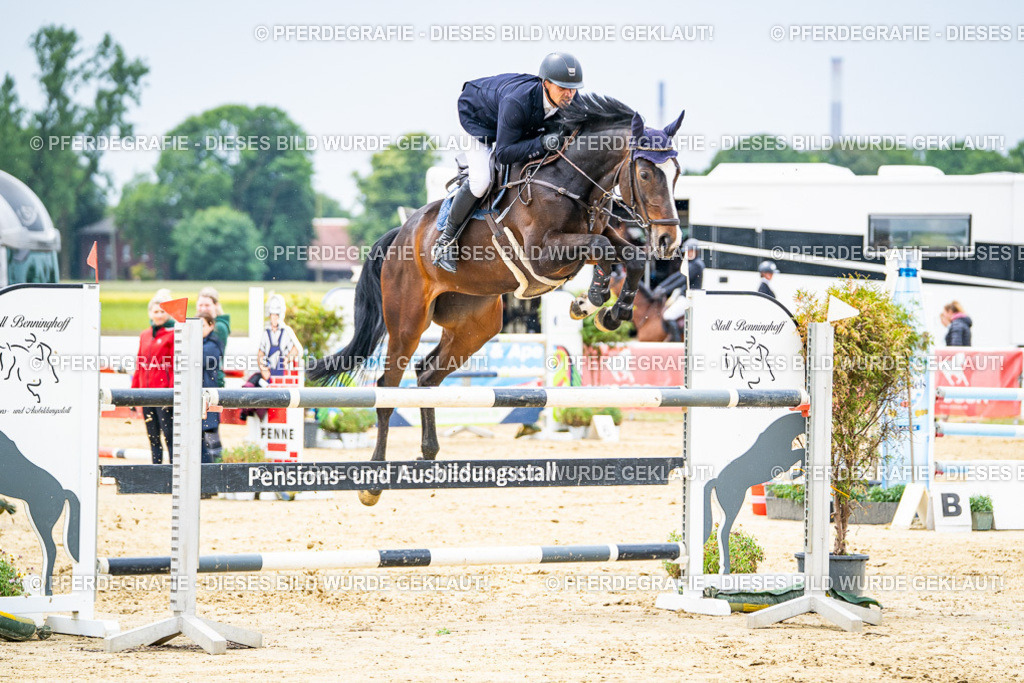 DSC06837 | Pferdegrafie