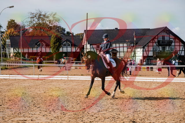 2026_10_03_Siefer-Hof_125538_Z63_62348434 | Professionelle Reitsport-, Turnier- und Eventfotografie von Robert Broda. Galerien mit ausgewählten und bearbeiteten Bildern direkt online ansehen und bestellen.
