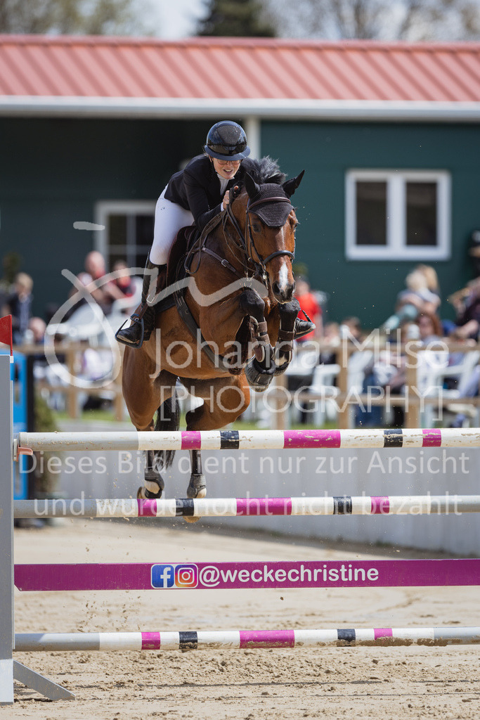 230501_SpengeW_M2St-176 | Deine schönsten Turniermomente als professionelle Fotos! Entdecke hochwertige Pferdesport-Fotografie im Online-Shop. Jetzt Fotos finden & bestellen!