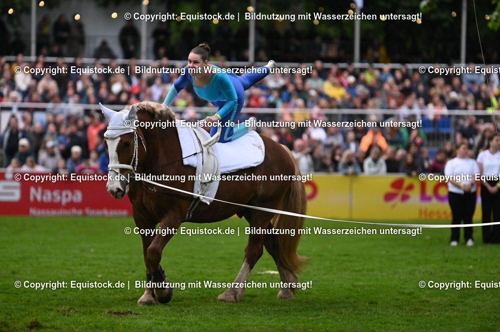 20240517_Lange-Pferdenacht_0327 | Foto: Thomas Hartig