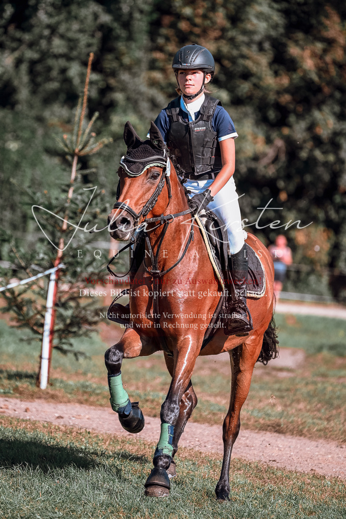 DSC_0980 | Pferde- und Turnierfotografie in Westsachsen. Pferdeportraits, Auftragszeichnungen und intuitive Kunst.