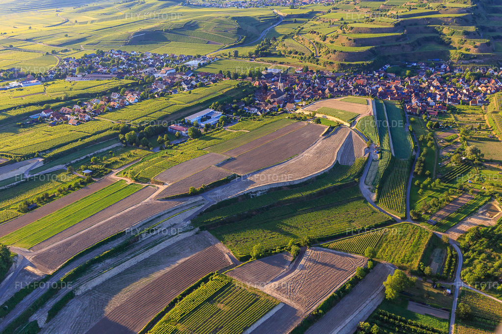Luftbild: Baustelle zur Neuplanierung von Terassenweinbergen im Ortsteil Oberrotweil in Vogtsburg im Bundesland Baden-Württemberg in Deutschland. Foto: IMG_147876.jpg vom 30.05.2025 durch Werner Riehm/FLY-FOTO.de