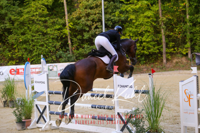 IMG_6213 | Turniersportfotografie; Pferdefotografie; Dressurfotografie