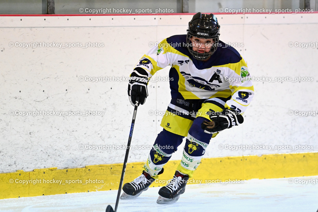 BST_6427 | hockey sports photos, Pressefotos, Sportfotos, hockey247, win 2day icehockeyleague, Handball Austria, Floorball Austria, ÖVV, Kärntner Eishockeyverband, KEHV, KFV, Kärntner Fussballverband, Österreichischer Volleyballverband, Alps Hockey League, ÖFB, 