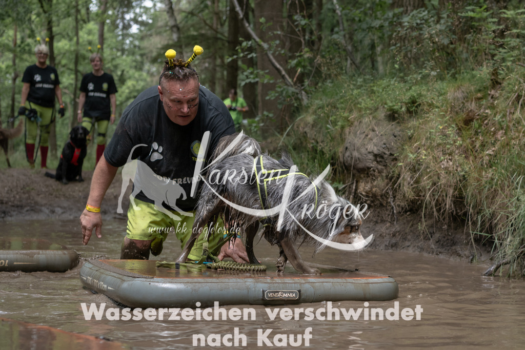 1337_ZZ94966 | kk-dogfotos