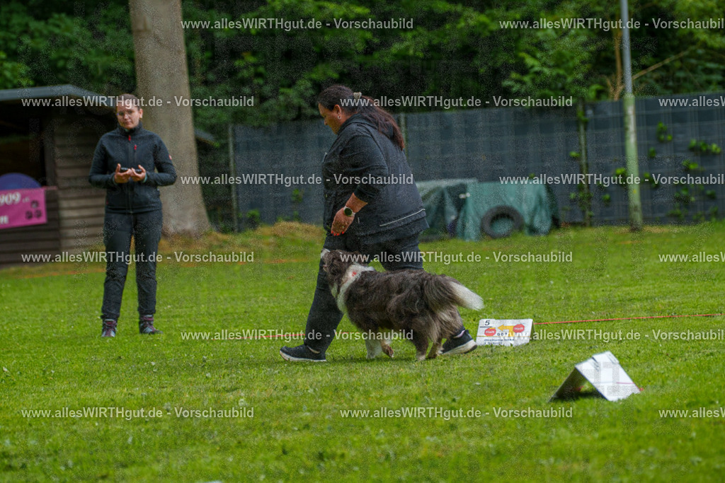 @allesWIRTHgut_Tierfotografie - www.allesWIRTHgut.de - 7R503471 | Professionelle Tierfotografie in Mönchengladbach von Daniel Wirth (allesWIRTHgut). Liebevolle & natürliche Bilder von Hunden & Katzen für unvergessliche Erinnerungen.