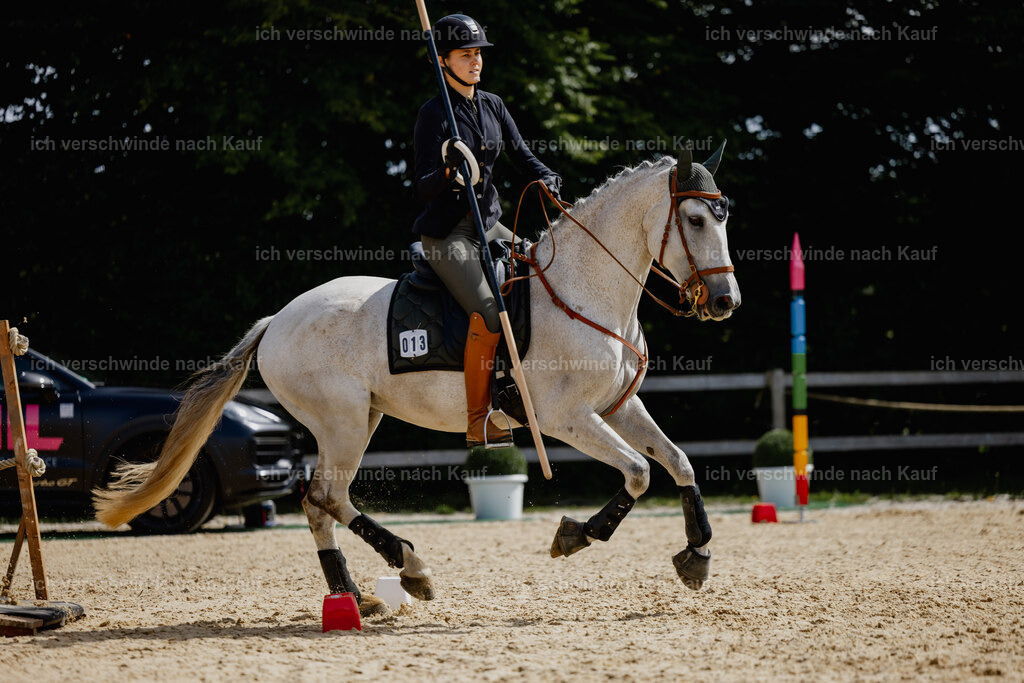 Svea13FHC2025-20469 | working equitationturnier fotograf videograf stoibphotography marixx film working equitation deutschland reitsport turnierfotografie eventfotografie equestrian events