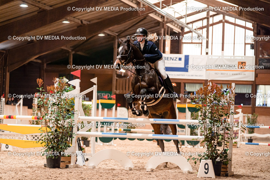 Springen Tag 3-038 | dv-media-shop - Realisiert mit Pictrs.com