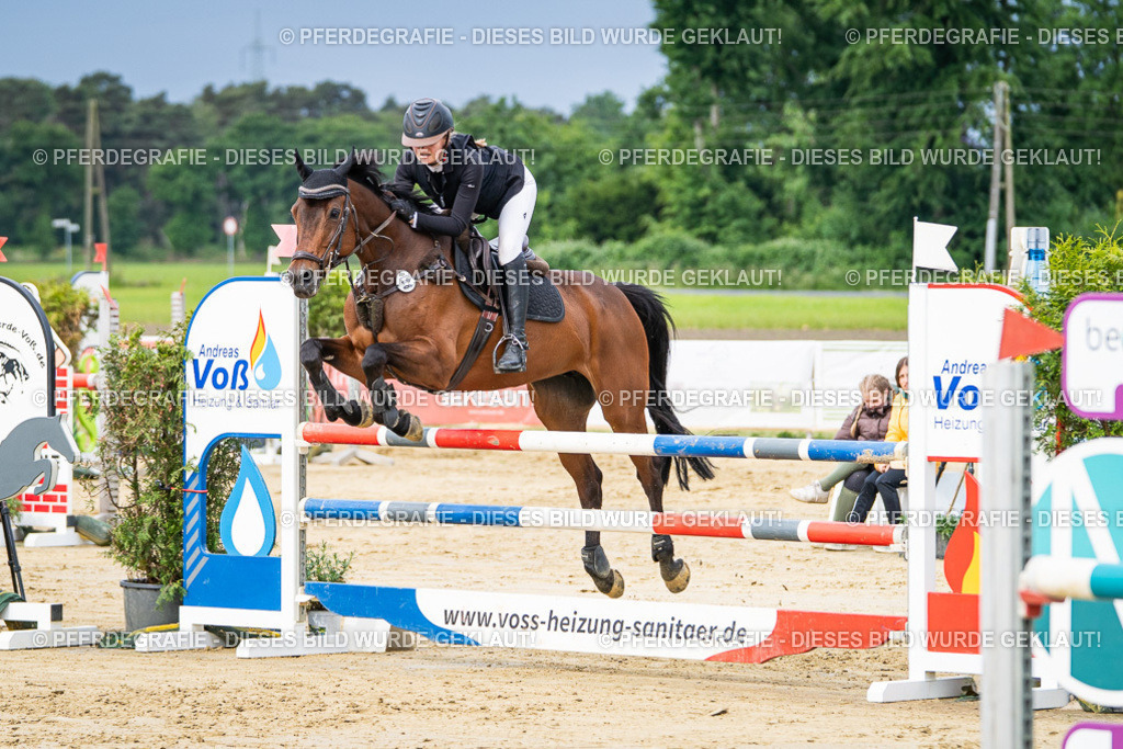 DSC03880 | Pferdegrafie