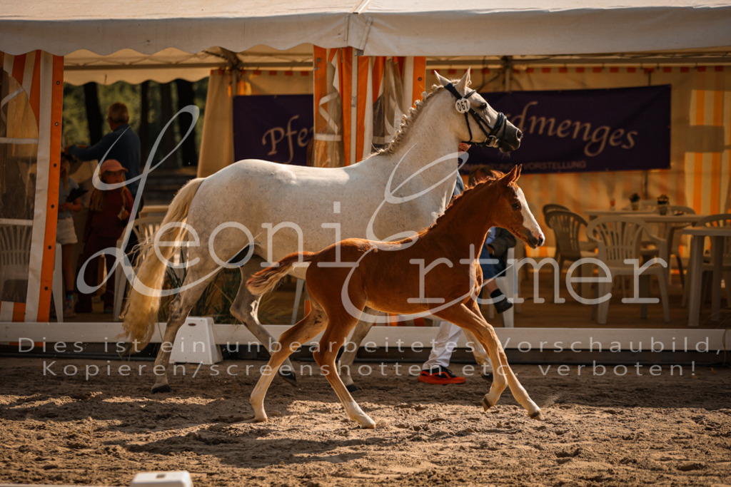 10.DoRP00221 | Leoni Ertmer Photography - Realisiert mit Pictrs.com