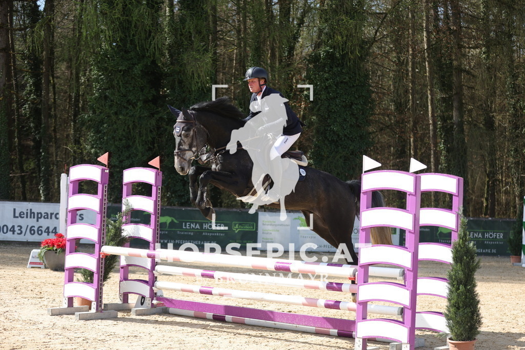 0P6A3176 | Willkommen bei Brunnmayr - Design & Fotografie – Ihrem Spezialisten für Reitturniere und Pferdeveranstaltungen in Oberösterreich, Salzburg und Bayern! Seit über 17 Jahren sind wir leidenschaftlich dabei.